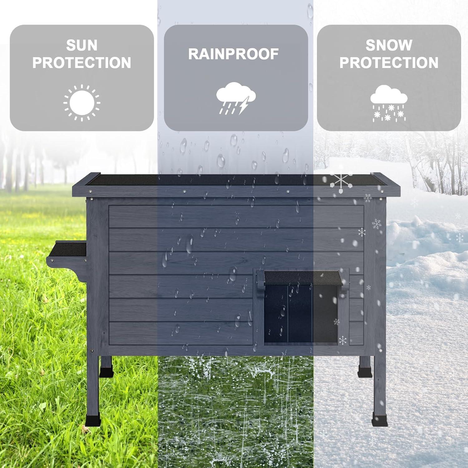 Cozy and Sturdy: Our Take on Ciokea Heated Cat House